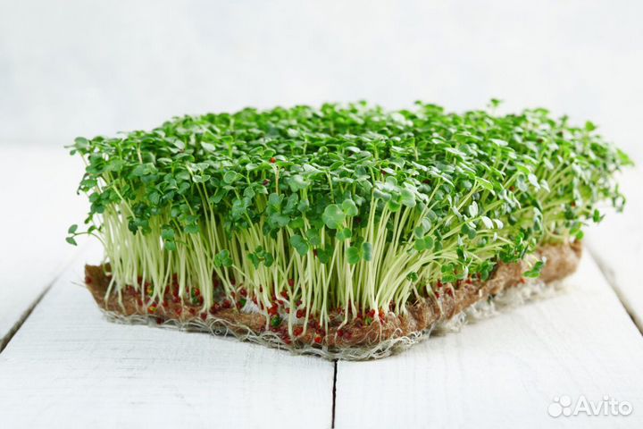 Коврики для микрозелени льняные 20 шт, 15*10 см