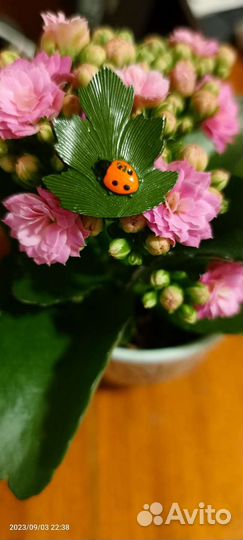 Значки СССР