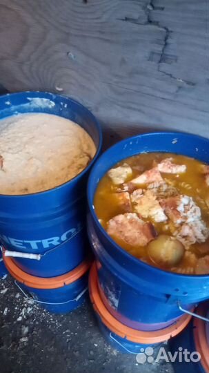 Корма для животных