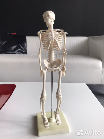 Учебное пособие для художников