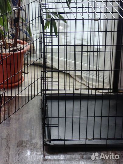 Клетка вольер для большой собаки бу