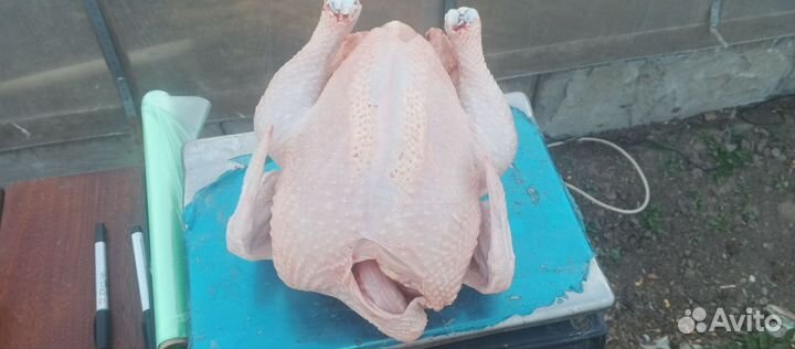 Продам мясо бройлеров