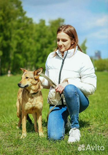 Маленькая, трогательная Одри ждёт своего человека