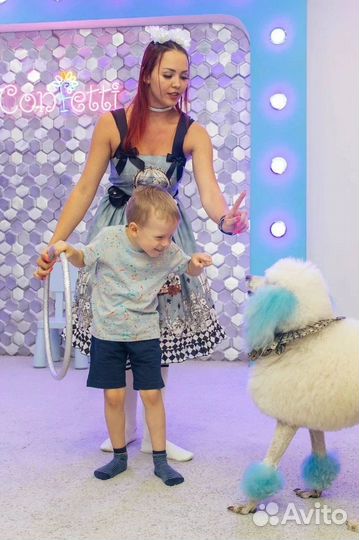 Цветные собачки и голуби на ваш праздник