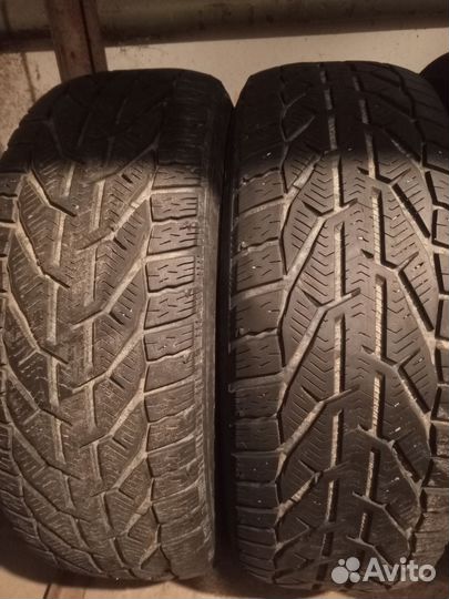 Tigar Winter 205/60 R16 92