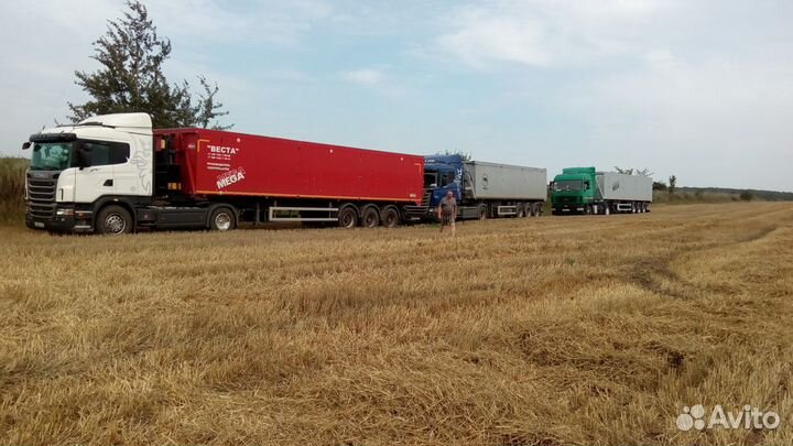 Услуга перевозка сыпучих грузов зерна адр