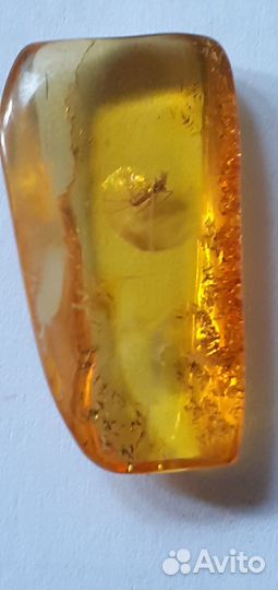 Янтарь с инклюзами 5 шт