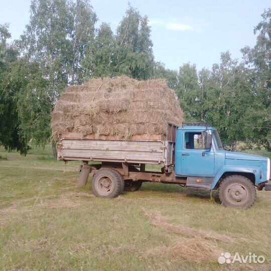 Сено в тюках разнотравье