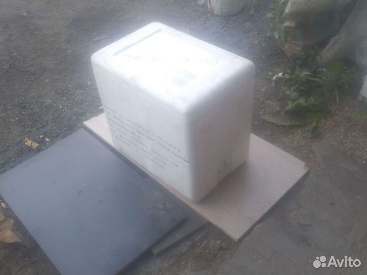 Термоконтейнер пенопластовый