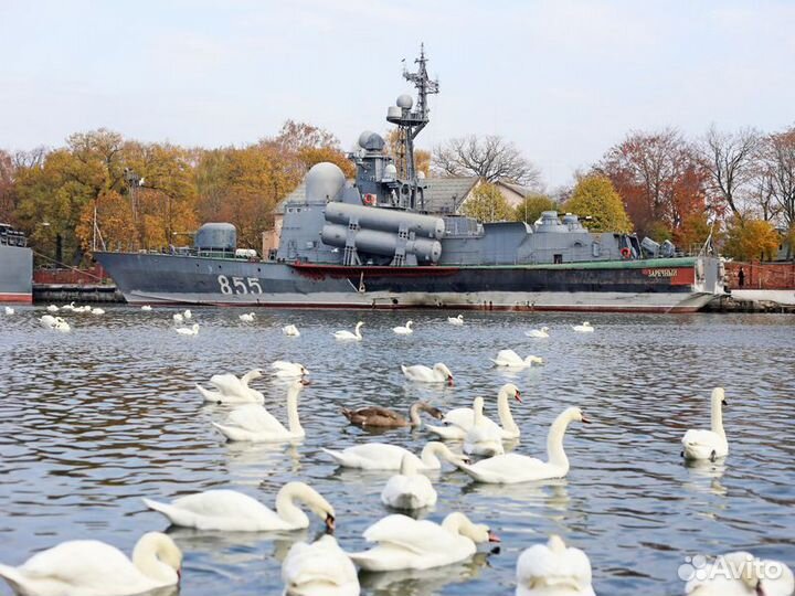 Экскурсия — Калининград — Два в одном: Балтийск и