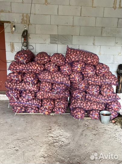 Продам картофель
