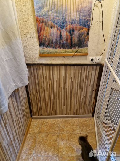 Зоогостиница Передержка животных Догситтер