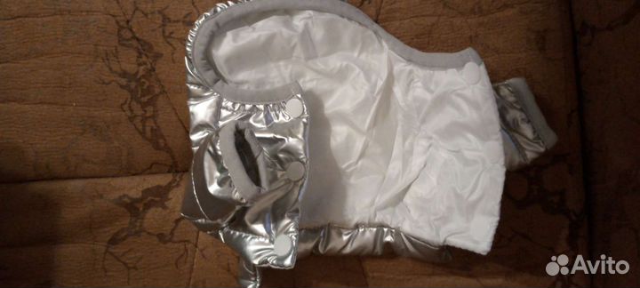 Одежда для собак мелких пород