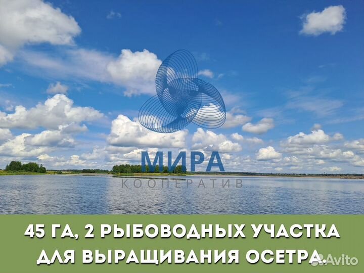 Инвестиции в производство икры и осетровую ферму