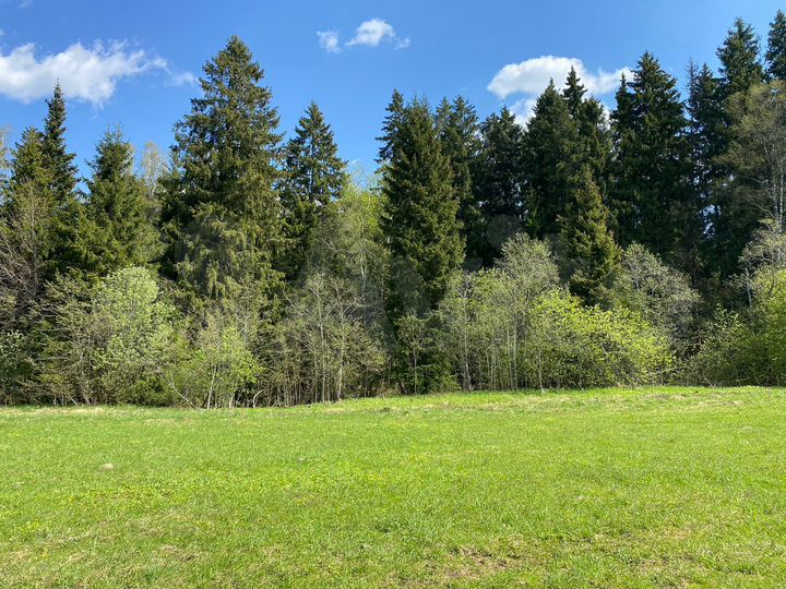 Участок 100 сот. (ИЖС)