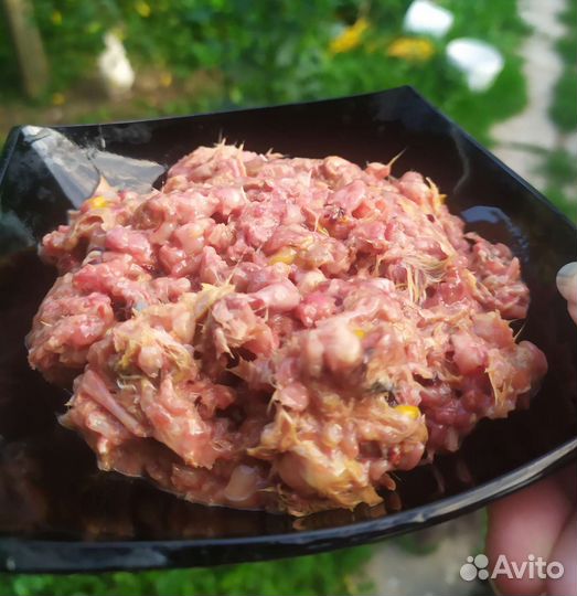 Фарш из суточных цыплят