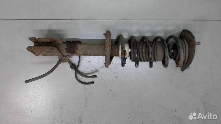 Амортизатор подвески Mitsubishi Colt, 2006