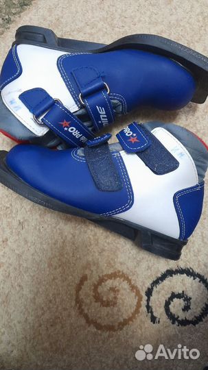 Лыжные ботинки