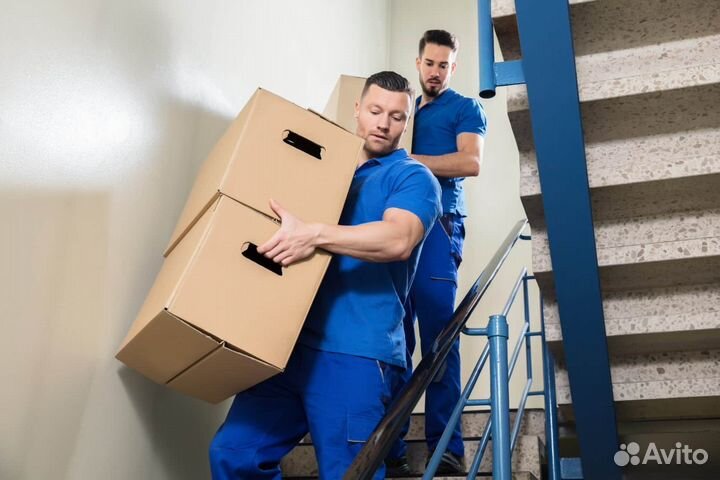 Грузчик/ ежедневная оплата