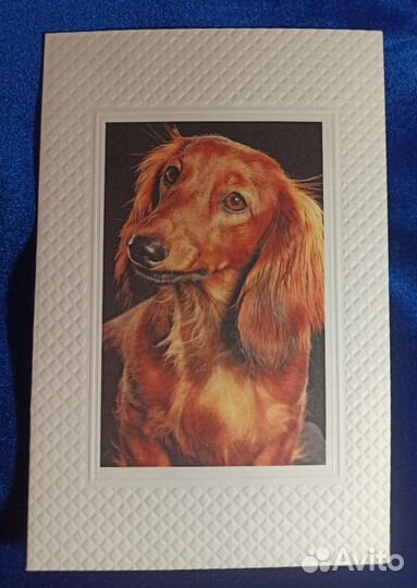 Красивые открытки