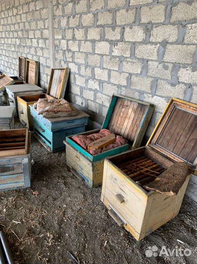 Улья для пчёл