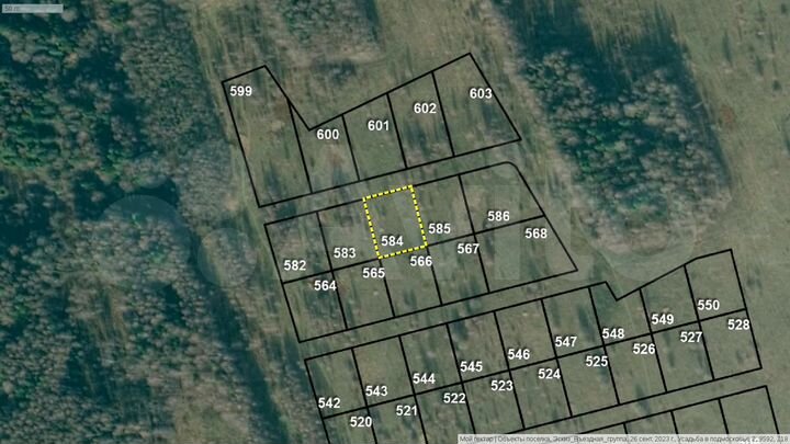 Участок 20 сот. (СНТ, ДНП)