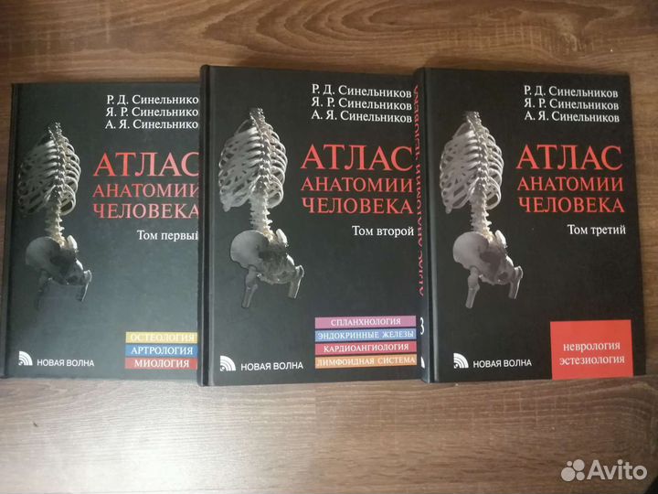 Р. Синельников 