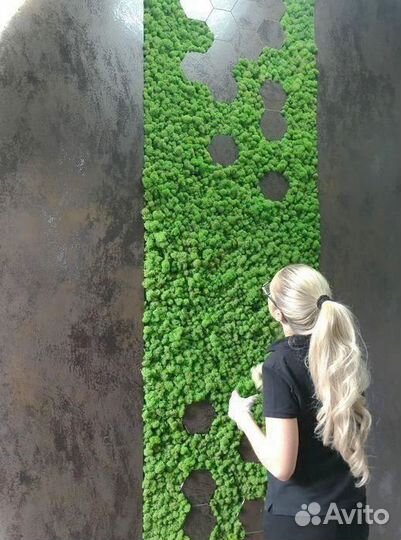 Вертикальное озеленение. Стабилизированный мох