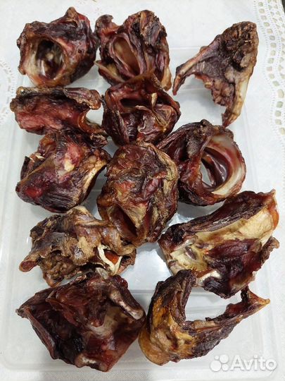 Корм для собак