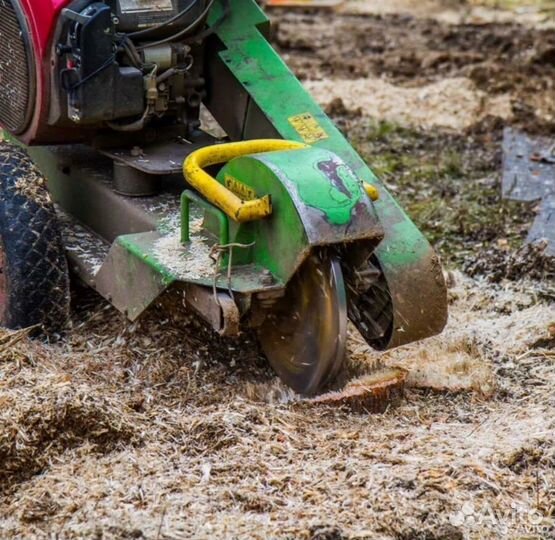 Спил деревьев. Расчистка участка. Утилизация