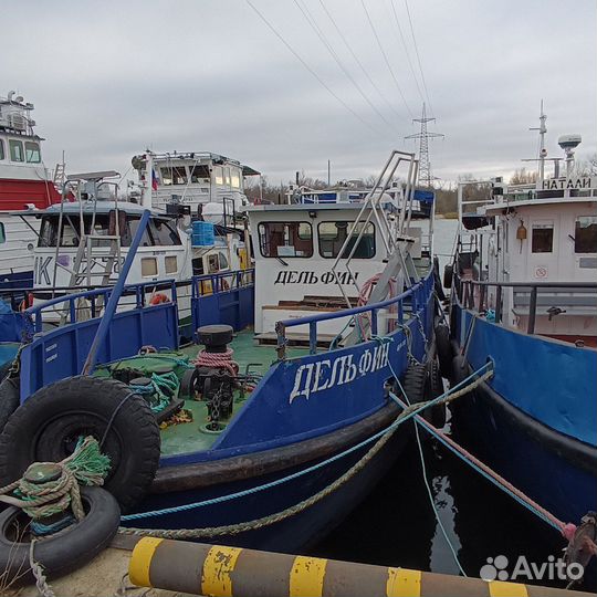 Катер Ярославец