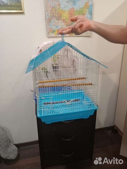 Клетка для попугая