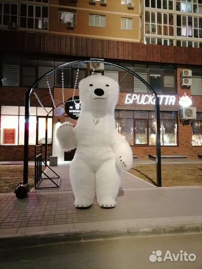 Белый и бурый мишка на поздравление