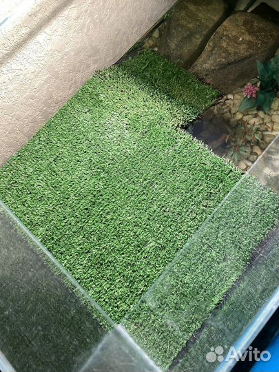 Аквариум террариум для черепахи