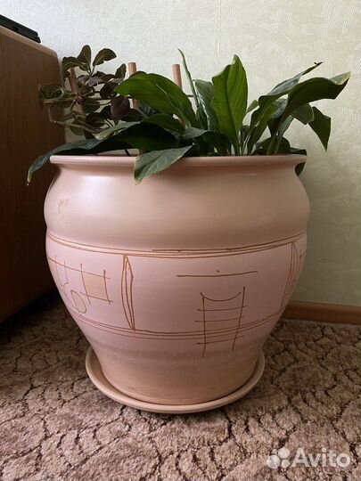 Большой глиняный горшок для цветов