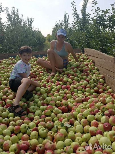 Рабочии на поля