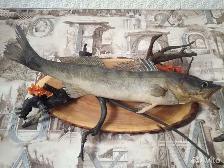 Чучело рыбы