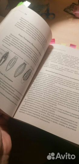 Книги егэ биология