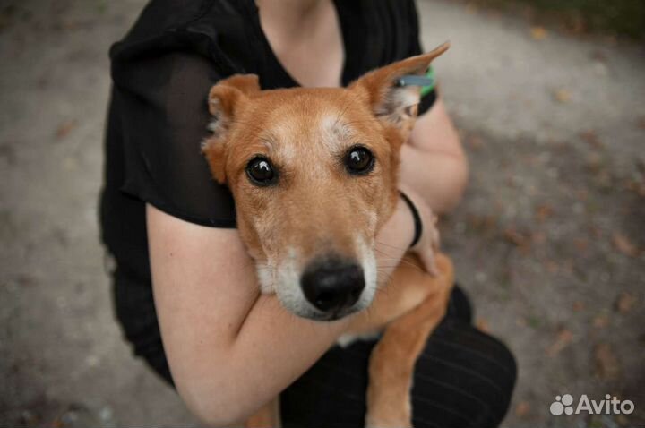 Парень сидит в приюте