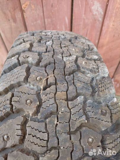 Gislaved Nord Frost II 195/65 R15