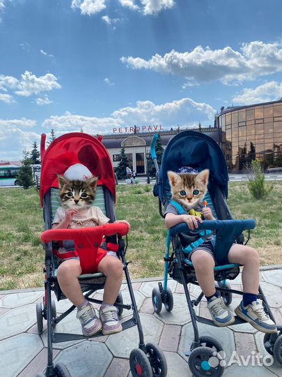 Коляска-трость прогулочная