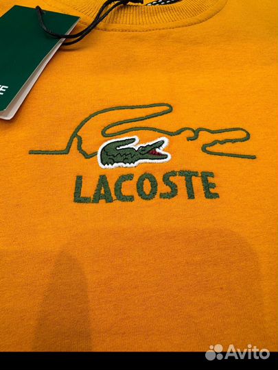 Свитшот мужской lacoste L 50