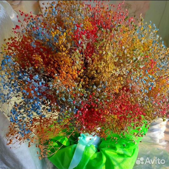 Сухоцветы для творчества гипсофила ворсянка