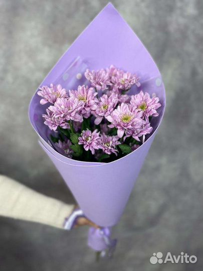 Цветы. Хризантемы с доставкой