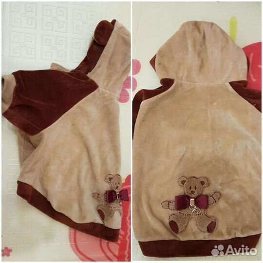 Одежда для собак, ошейник