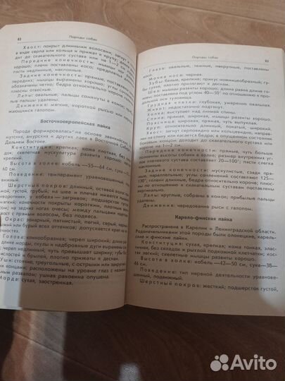 Книга Ваши четвероногие друзья