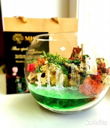 Флорариум Моссариум Подарок