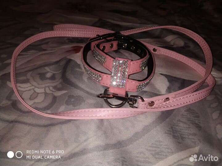 Одежда для собак