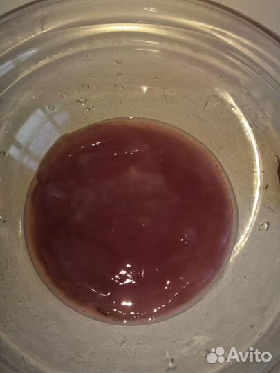 Чайный гриб комбуча и для детей