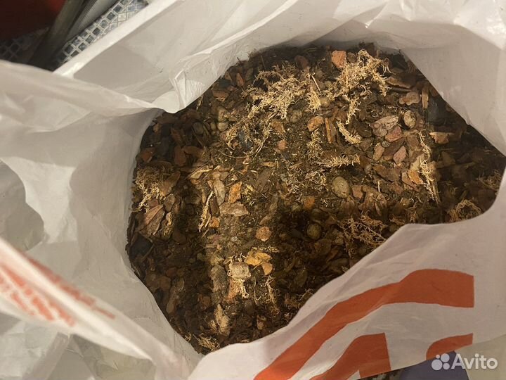 Грунт для орхидей